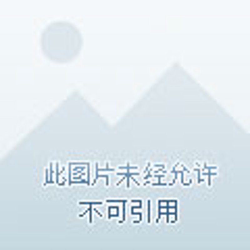 生活用品零售：抓住日常小确幸